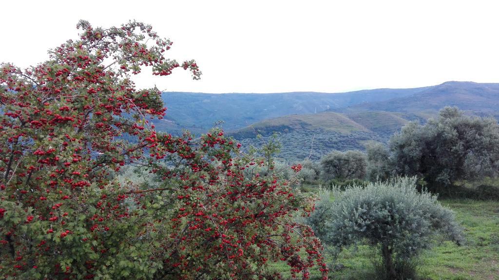 Le Case Di S. Andrea Buccheri Kültér fotó